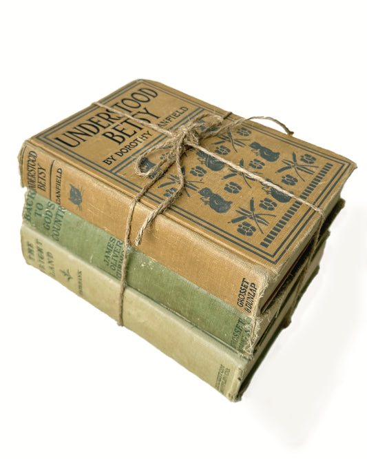 Lot of 3 Green Brown Vintage Books | Decor | Circa 1917 to 1930