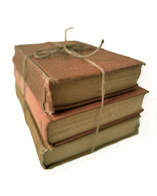 Lot of 3 Terracotta Brown Vintage Books | Decor | Circa 1906 to 1940