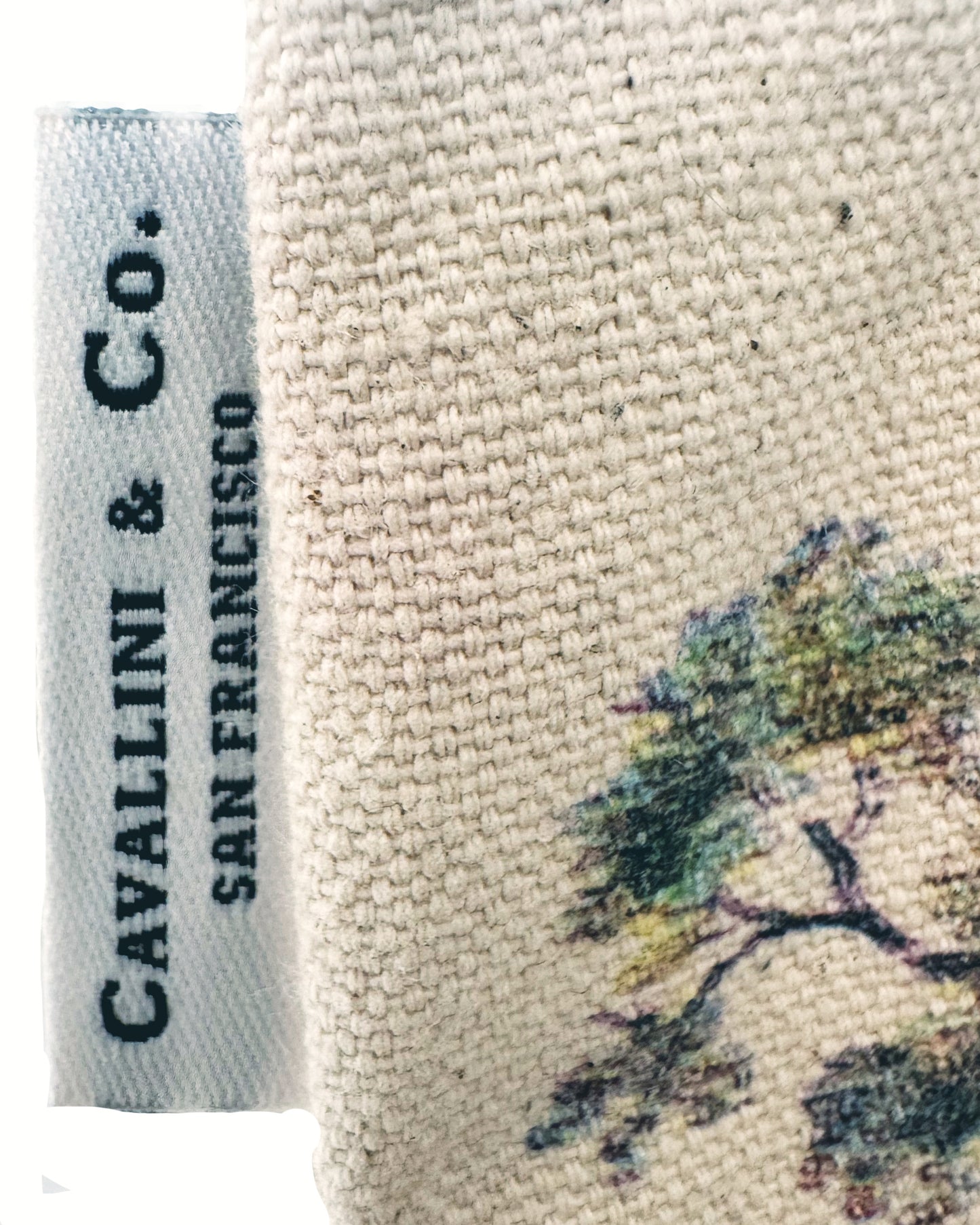Cavallini Papers & Co. Arboretum Tote Bag