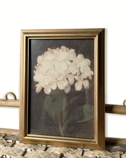 Botanical Hydrangea Print [with frame]