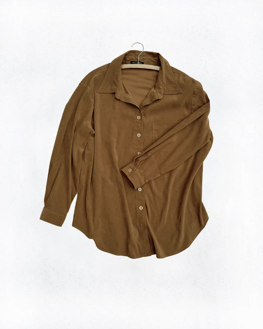 Brown Button Down Top (1X)