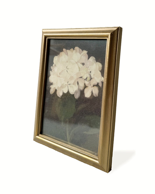 Botanical Hydrangea Print [with frame]