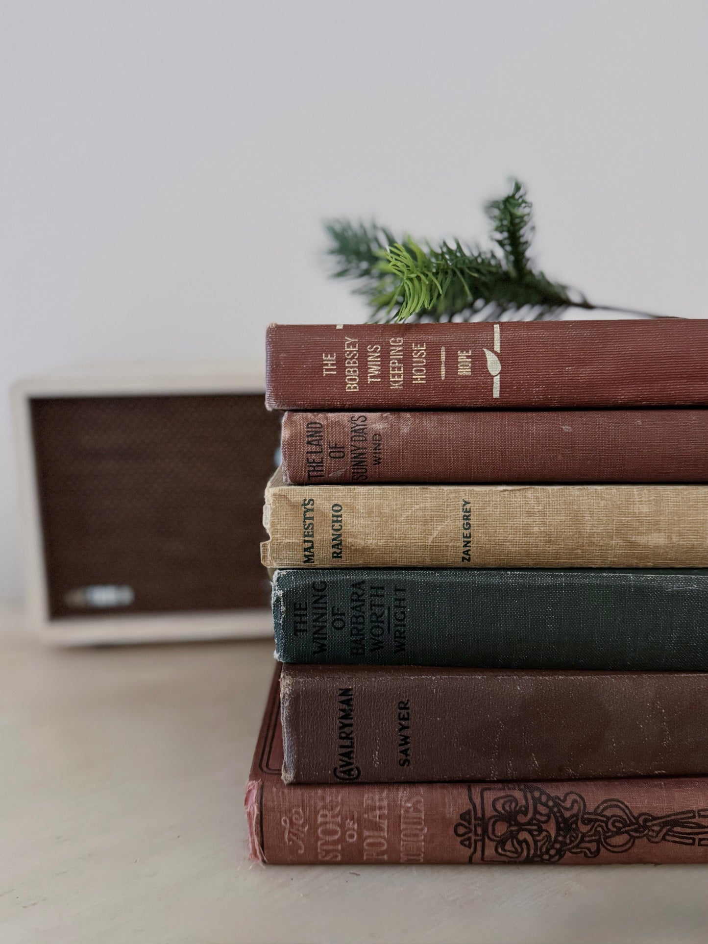 The Winning of Barbara Worth (Circa 1914)