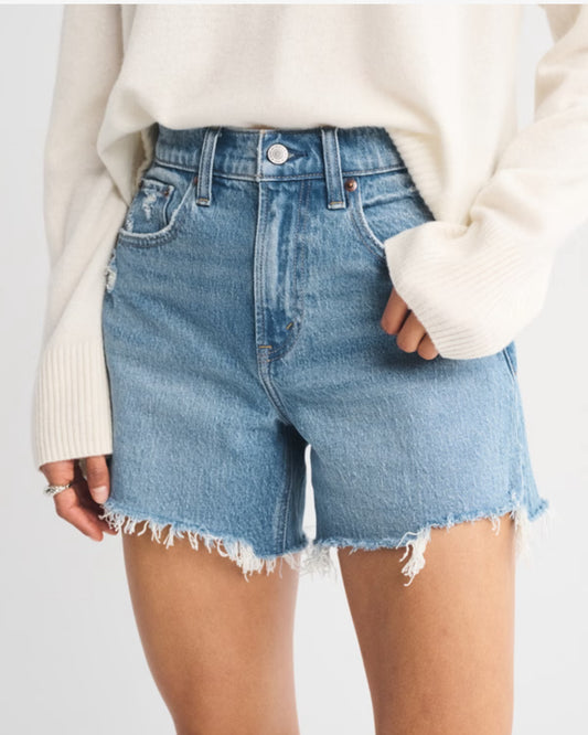 Abercrombie & Fitch Dad High Rise Jean Shorts (24)