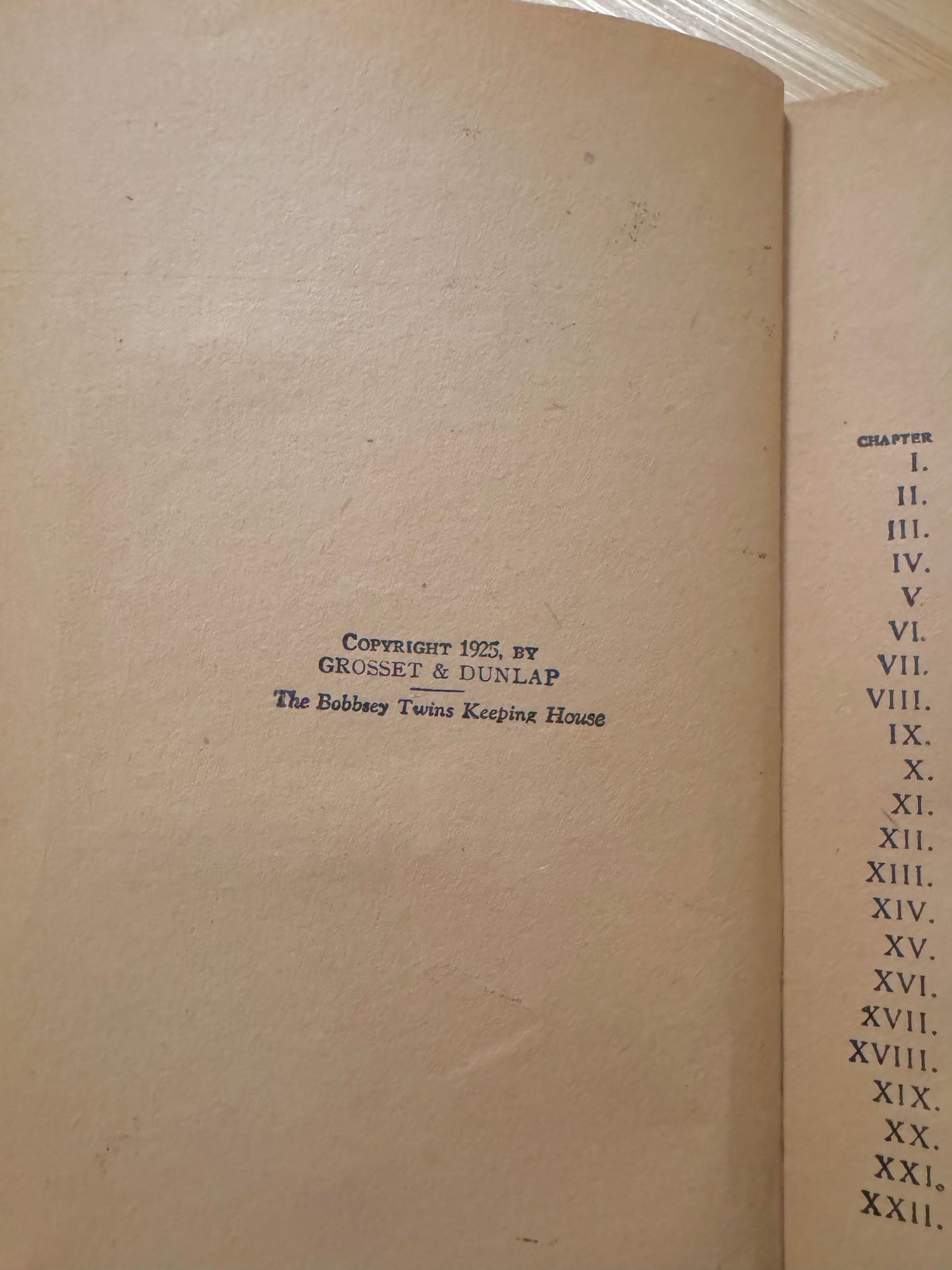 The Bobbsey Twins Keeping House (Circa 1925)