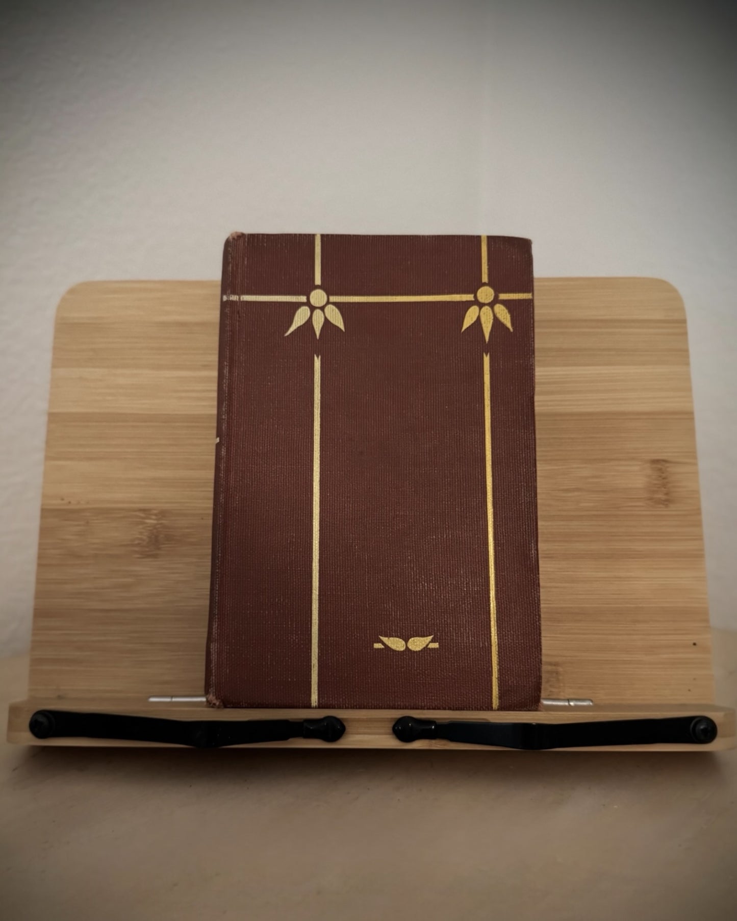 The Bobbsey Twins Keeping House (Circa 1925)