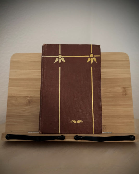 The Bobbsey Twins Keeping House (Circa 1925)