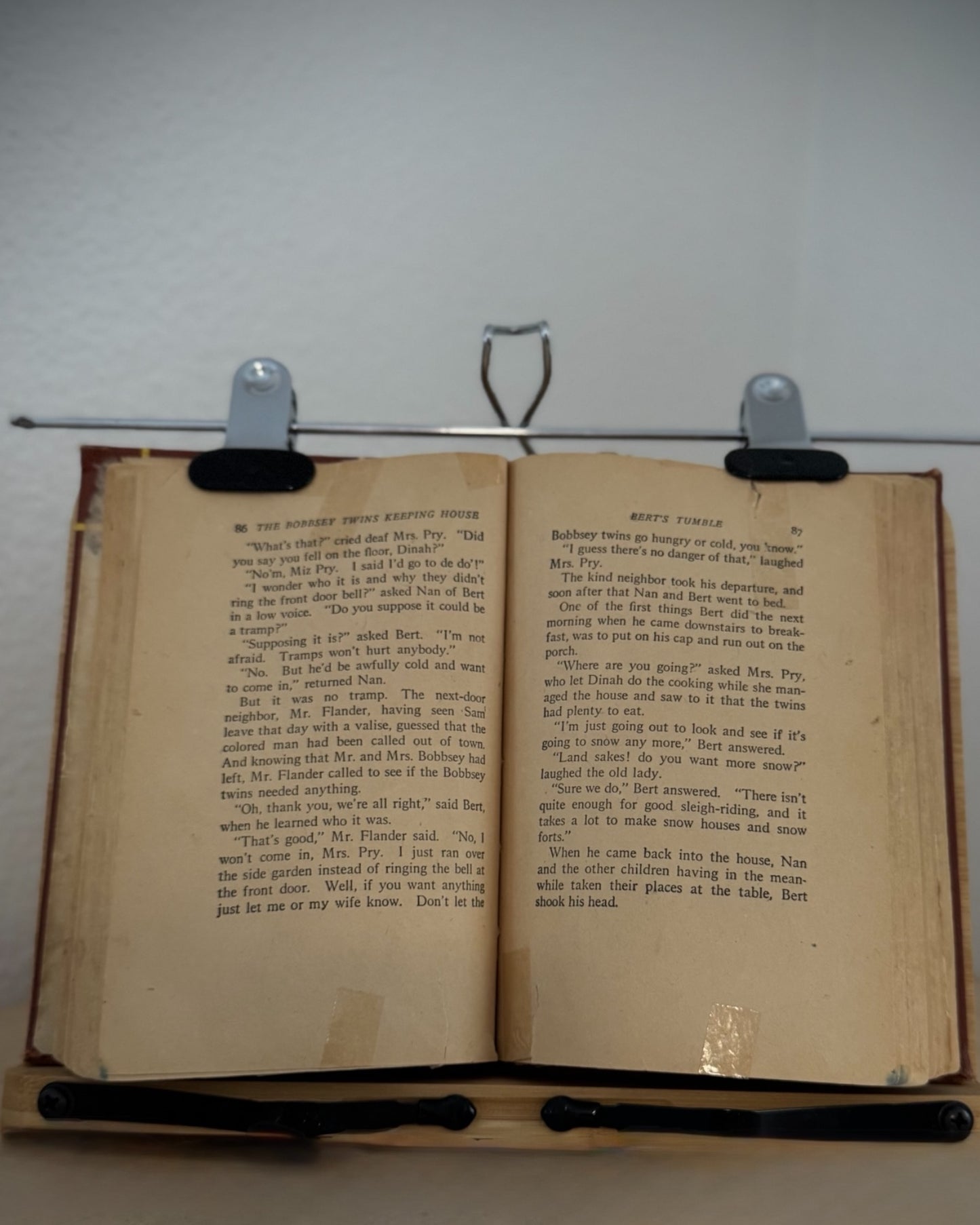 The Bobbsey Twins Keeping House (Circa 1925)