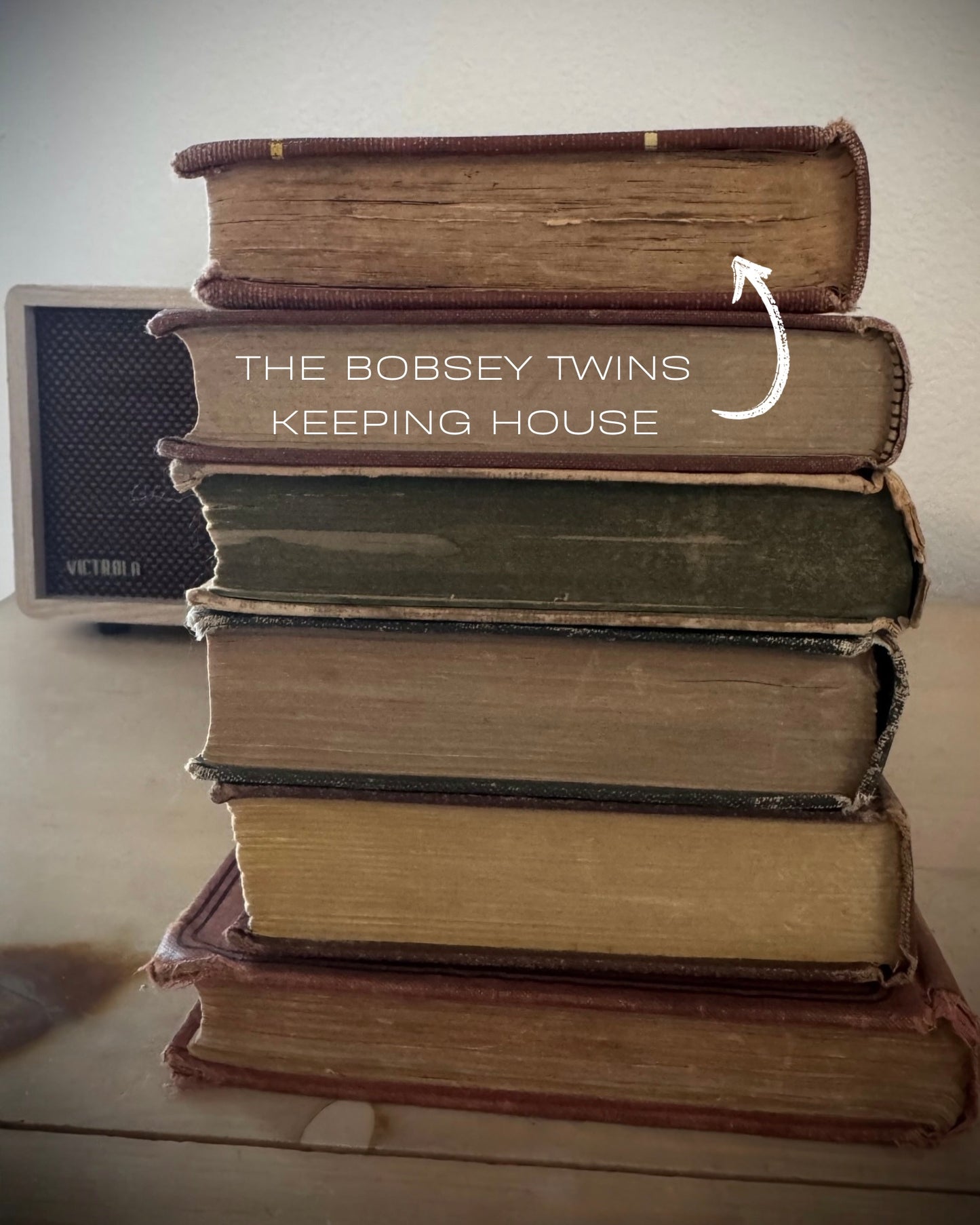 The Bobbsey Twins Keeping House (Circa 1925)